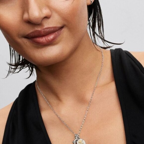 Pandora Rose Medallion Charm - Picture 6 of 6